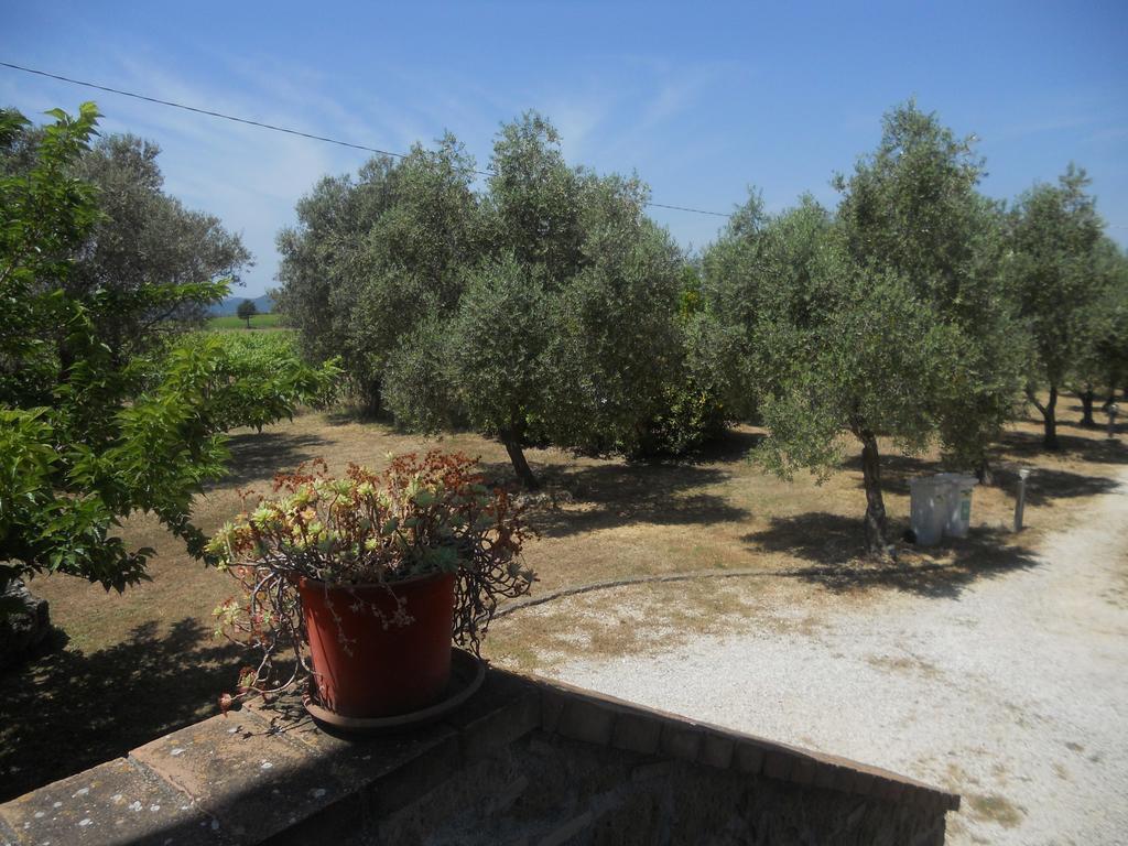 Agriturismo Tenuta Roccaccia 皮蒂利亚诺 外观 照片