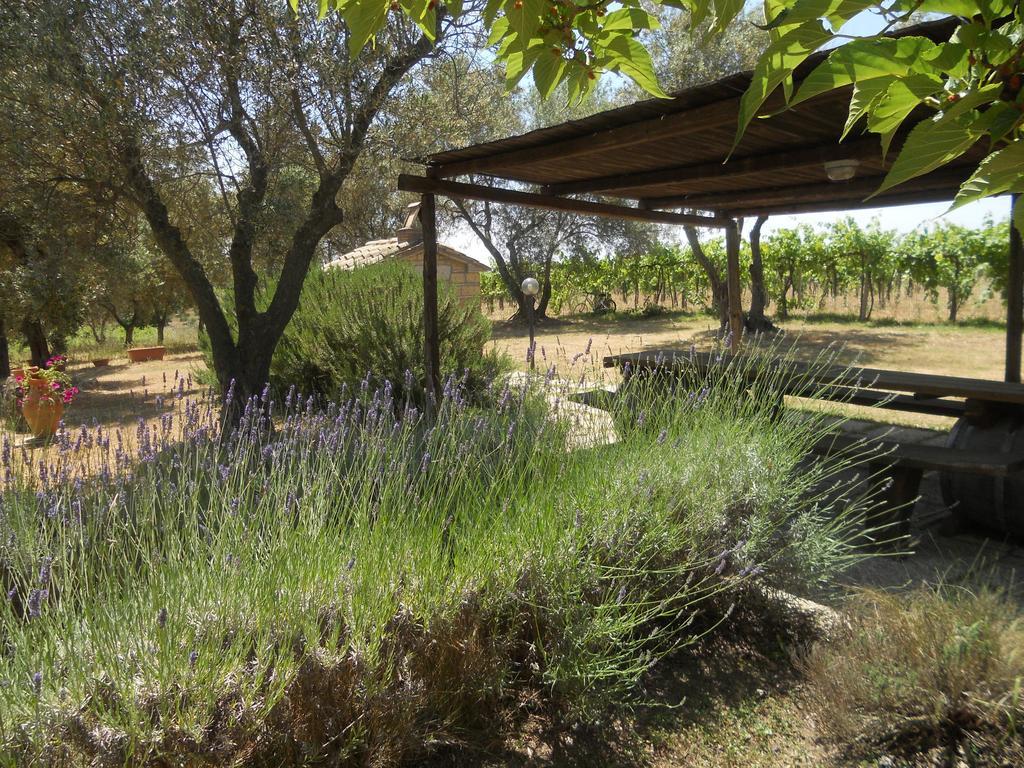 Agriturismo Tenuta Roccaccia 皮蒂利亚诺 外观 照片